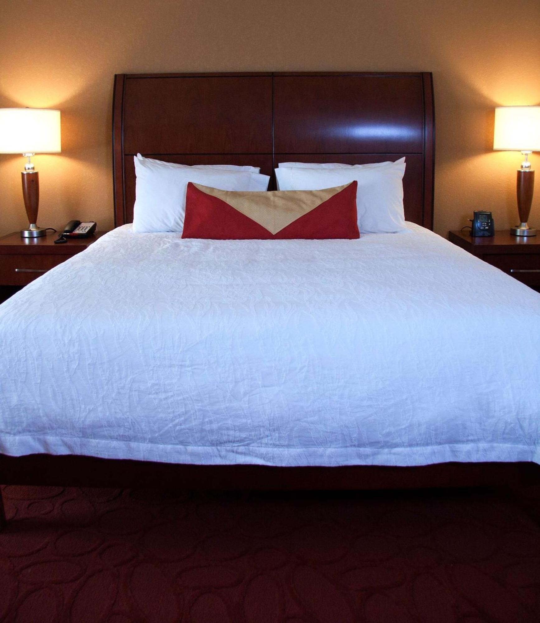 Hilton Garden Inn Milwaukee Airport Værelse billede